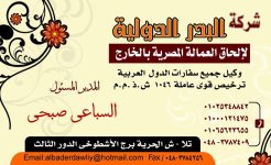 كارت الشركة.jpg