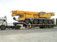 albatha_416132672.jpg