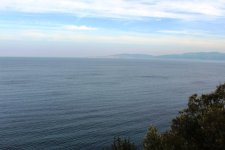 IMG_1654.jpg