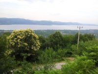 20130605_175935.jpg