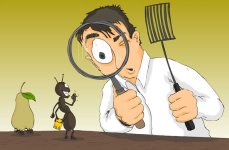 ant-article-23-10-12.jpg